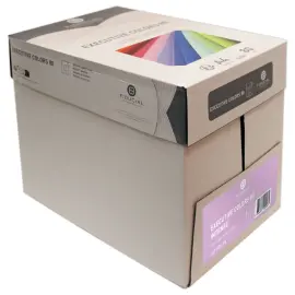 Pak van 500 vellen papier  A4 80 g EXECUTIVE CLR  - intense kleuren 
