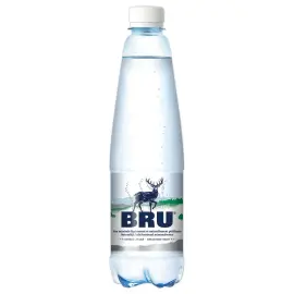 24  Bru waterflessen 50 cl 