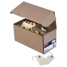 1000 Etiketten B1000 en Amer 100x51mm + Touw - APLI 