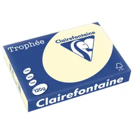 Pak van 250 vellen papier - A4 - 120g - pastel ivoor - CLAIRFONTAINE 