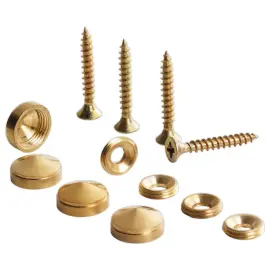 4  Gouden schroef en schroefkap atelier 