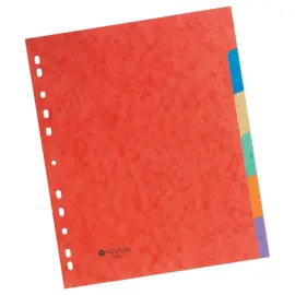 Set tussenbladen glanzend karton 3/10e - A4+ formaat - 6 tabbladen - FIDUCIAL 