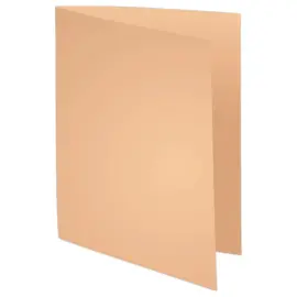 250  FIDUCIAL ondermappen 22x31cm - Pastel - 60g 