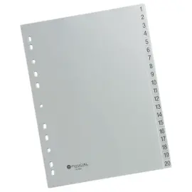 Numerieke tabbladen A4 - PP - FIDUCIAL- 20 tabs 