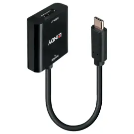 USB Type C naar DisplayPort 4K144 Converter - LINDY 