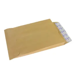250  Enveloppen in kraftpapier 120g - groot formaat type radio  - 280x400mm - GPV PREMIER 