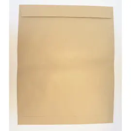 250  Enveloppen in kraftpapier 120g - groot formaat type radio  - 280x400mm - GPV PREMIER 