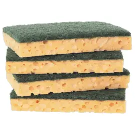 10  Schuursponzen - 12,7 x 8,9 cm - NICOLS 