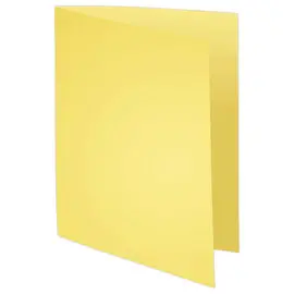 100  mapjes 24 x32 cm "Super 210" Exacompta 