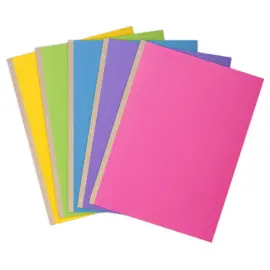 10  Mappen met linnen rug - 24 x 32 cm - EXACOMPTA 