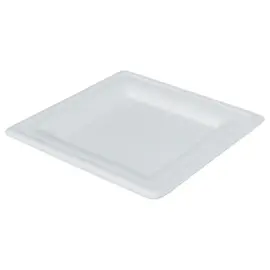 50  Biologisch afbreekbare vierkante borden 20 cm 