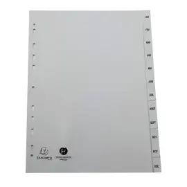 Maandelijkse tabbladen FOREVER A4 - 12 tabs - EXACOMPTA 