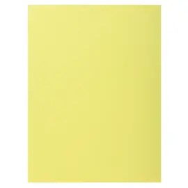 100  Hemdjes 1 flap 160 g kaart van hoge kwaliteit PEFC - pastelkleuren 