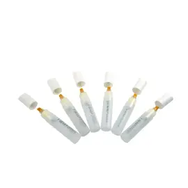Navulbare lege marker voor inkt en verf MEGA CREA - punt 10 mm - set van 6 