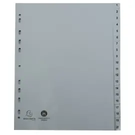 Geprinte digitale PP grijze gerecycleerde scheidingsbladen - 10 posities 