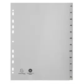 Geprinte maandelijkse scheidingsbladen PP gerecycled - 12 posities 