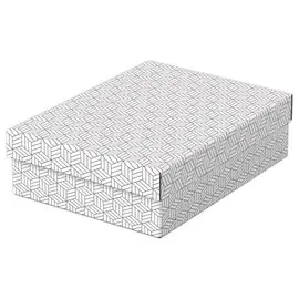 3  Opbergdozen Home - Maat M laag - Grijs - ESSELTE 