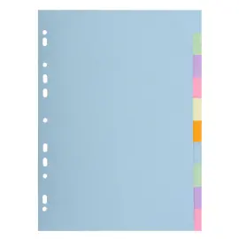 Set schutbladen voor 3/10e gerecycleerde kaarten A4 - 10 posities - EXACOMPTA 