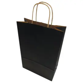 200  Tas met gedraaide handgrepen middelgroot formaat: 22 x 33 x 10 cm - Zwart 