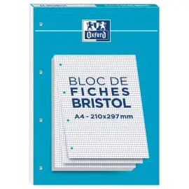 Blok van 30 bristolfiches wit A4 5x5 