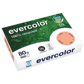 Ramette van 500 vellen gerecycled papier EVERCOLOR A4 80g 