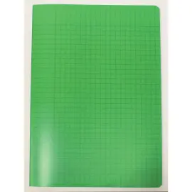 Polypropyleen schrift, genaaid, 96 pagina's SEYES 210x297 90g groen 