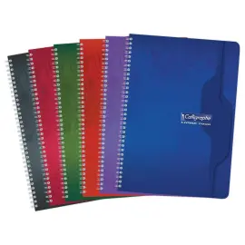 Spiraalschrift - 70g - A4 - 5x5 - 180 pagina's - verschillende kleuren - CALLIGRAPHE 