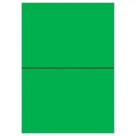 100  Etikettenbladen L210xH148,5 mm 200 etiketten/doos, felgroen 