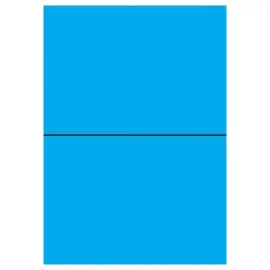 100  Etikettenbladen L210xH148,5 mm 200 etiketten/doos, felblauw 