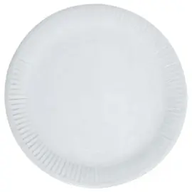 100  Kartonnen borden - 23 cm in diameter 