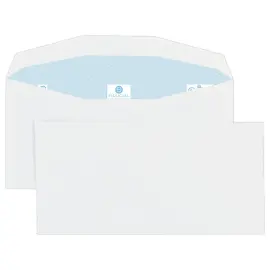 1000  witte MSPA-enveloppen 114x229 80gr gecoat Fiducial 