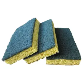3  ecologische schuursponges 