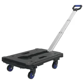 Rollend plateau met telescopische handgreep 