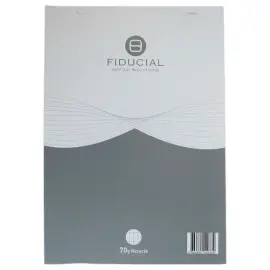 Bloc 70g A4 21x29,7cm 50 vellen, gerecycled 
