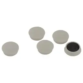 5  Ronde bureaumagneten 27 mm wit 