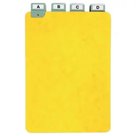 Tabbladen voor kaartenbakken - A5 staand- 25 tabs -  H210x L148 mm 