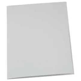 100  Mappen 220g gerecycleerd - Grijs - EXACOMPTA 