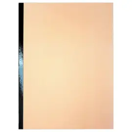 10  Brede map met versterkte rug - Zijvouw 3 cm - Karton 300g - Bruingeel - ACCESS 