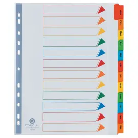 Set tussenbladen op maand 180 g - A4 - 12 tabbladen in verschillende kleuren - FIDUCIAL 