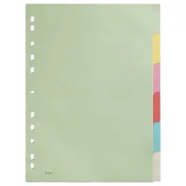 Tabbladen - A4 - 6 tabs - Karton 2/10 