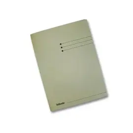 50  Kartonnen map met 3 flappen 300g - Folio-formaat grijs - ESSELTE 