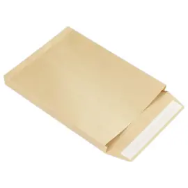 250  Omslagen met zijvouw in bruin kraft 120g - 229x324mm zonder venster 