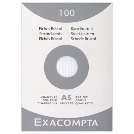 100  Witte bristol-steekkaarten 14,8 x 21 cm - 5x5 - 210g 