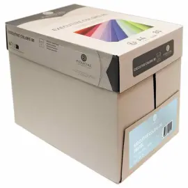 Riem van 500 vellen blauw papier A4 80 g - FIDUCIAL 