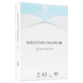 Pak van 500 vellen A3  pastel gekleurdpapier Executive Clrs FIDUCIAL 