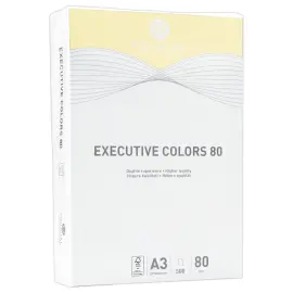 Pak van 500 vellen A3  pastel gekleurdpapier Executive Clrs FIDUCIAL 