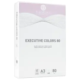 Pak van 500 vellen A3  pastel gekleurdpapier Executive Clrs FIDUCIAL 