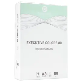 Pak van 500 vellen A3  pastel gekleurdpapier Executive Clrs FIDUCIAL 
