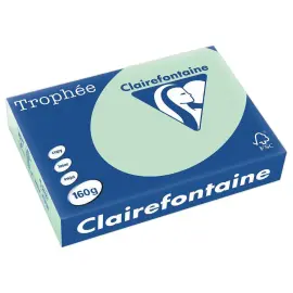 Riem van 250 vellen A4 papier pastel groen - Clairefontaine 