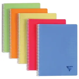 Spiraalschrift Linicolor - A4 - Clairefontaine 